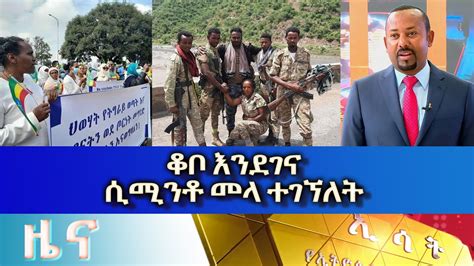 ethsat facebook|esat ethiopian news.